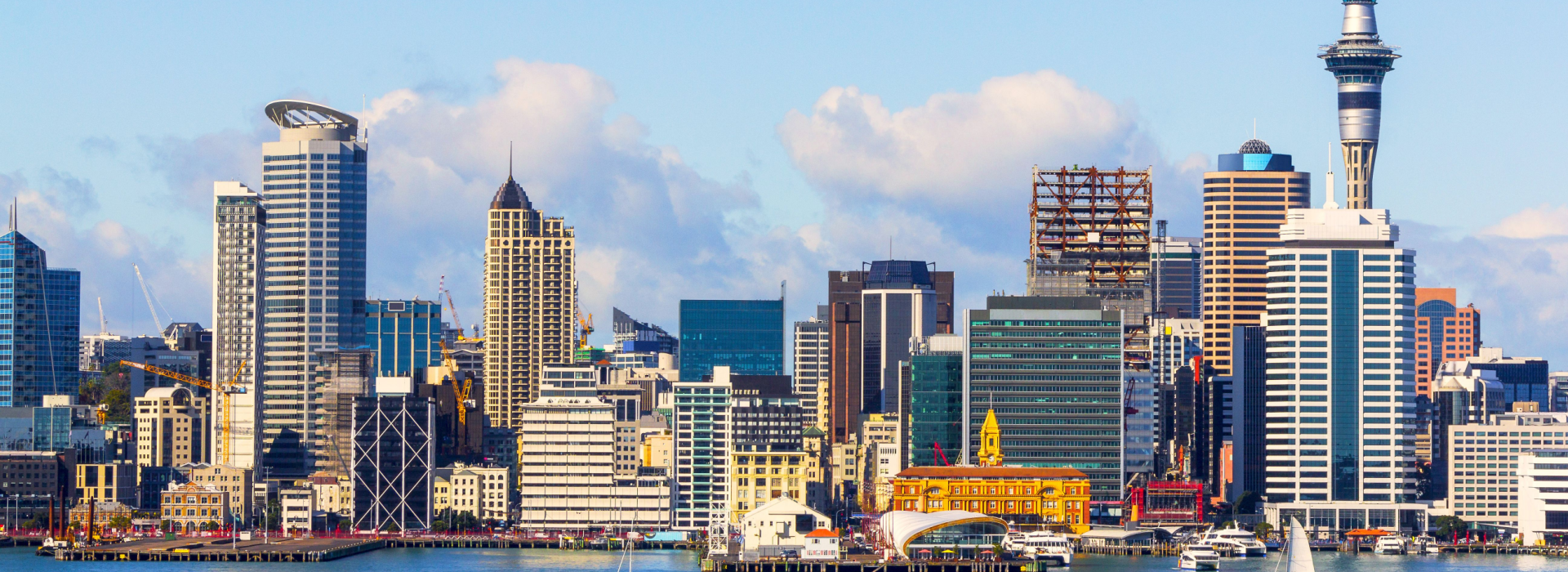 Dreaming Across New Zealand